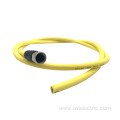 M12 T-Coded Power Connector PUR Cable